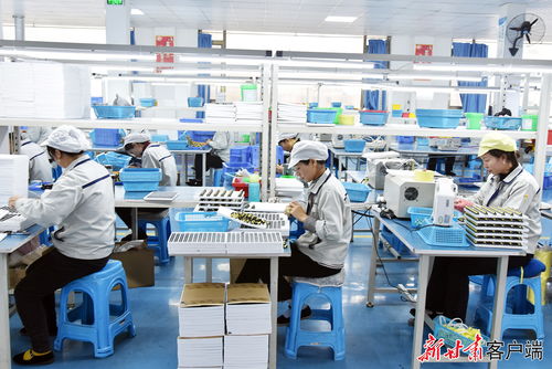 康樂 東西協(xié)作鄉(xiāng)村就業(yè)工廠節(jié)后復(fù)工生產(chǎn)忙