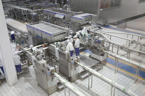 河北電視臺(tái)《冀有好物》攝制組赴大名縣錄制專(zhuān)刊